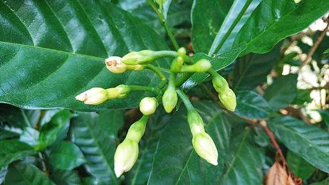 复古全手绘平台游戏《泡泡幽灵REMAKE》今日多平台发售！